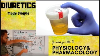 Diuretics CVS Pharmacology  part 1 [upl. by Narrad]