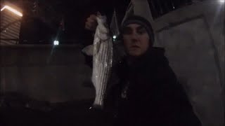 Late Winter Striped Bass Fishing Providence River Rhode Island [upl. by Narra310]