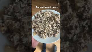 Halloumi and mince risotto animalbased [upl. by Lehte115]