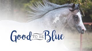 GOOD TO BE BLUE 60 Second Commercial [upl. by Bohs698]