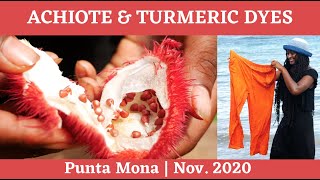 Using Achiote amp Turmeric to Dye Clothes at Punta Mona [upl. by Simonette]