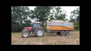 Ensilage 2011  Claas Jaguar 960 amp 14 Trailers [upl. by Nana]