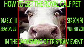 DARKENING OF TRISTRAM HOW TO GET THE ROYAL CALF SEASON 29 DIABLO III [upl. by Ataynik656]