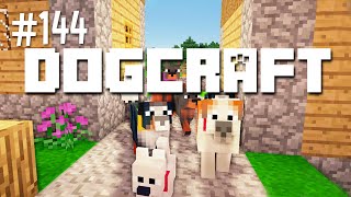 The Trial Run  Dogcraft Ep144 [upl. by Hisbe]