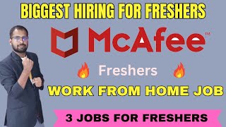 BIGGEST HIRING FOR Freshers  McAfee Drive For Freshers  3 Job Opening in McAfee [upl. by O'Connor]