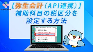 【弥生会計（API連携）】補助科目の税区分を設定する方法【HAYAWAZAplus】 [upl. by Manchester]