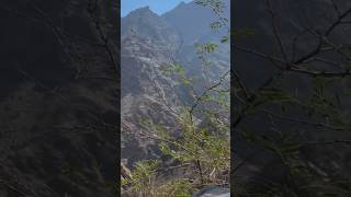 Mountain view😍travelvlog travel trending reels explore family uaelife [upl. by Finegan296]