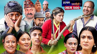 Halka Ramailo  Episode 200  15 October  2023  Balchhi Dhurbe Raju Master  Nepali Comedy [upl. by Maynord646]