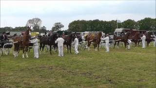 Eenspannen tuigpaarden Balkbrug quotDedemsvaart in Beeldquot [upl. by Lorant33]