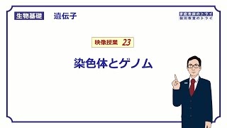 【生物基礎】 遺伝子23 染色体とゲノム （１６分） [upl. by Dempstor]