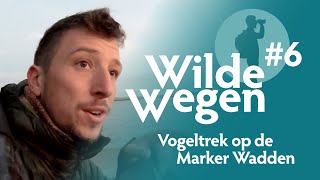 Vogeltrek op de Marker Wadden  Wilde Wegen 6 [upl. by Trocki]