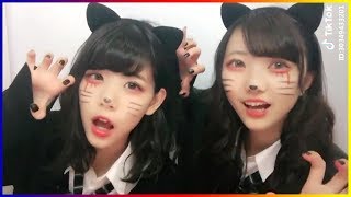 Tik Tok Japan 日本のティックトック学校  Tik Tok High School In Japan 8 [upl. by Ahsemac]