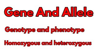 Gene And AlleleHomozygous and HeterozygousGenotype and phenotypeDifference bw Gene And Allele [upl. by Nylknarf836]