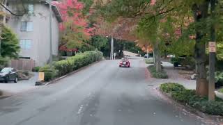 1953 MG TD cruising up the hill [upl. by Tatum]