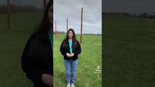 Cahokia Mounds was once bigger than the city of London CahokiaMounds nativeamerican stlouis [upl. by Ahcsat]