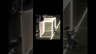 Ochoa best saves [upl. by Tepper]