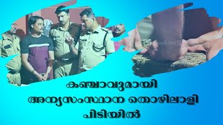 Malayalam Latest News  കഞ്ചാവുമായി അന്യസംസ്ഥാന തൊഴിലാളി പിടിയിൽ [upl. by Gilberta]