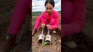 Satisfying Seedlings Planting Tools for Rural Farmer  Helpful Agricultural Tools shorts ytshorts [upl. by Aruat]