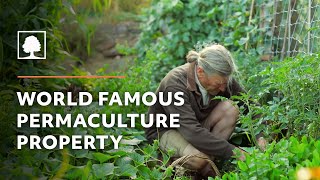 World Famous Permaculture Property Tour – David Holmgren and Su Dennetts Melliodora [upl. by Lilahk]