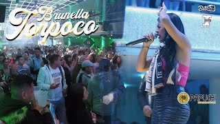 BRUNELLA TORPOCO ft Son Latino Orquesta ♫♫ Argentina 2022 Cuchi amp Papuchi Internacional [upl. by Seleta]