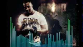 Farid Bang Eko Fresh amp Capkekz  German Dream ist Back  Songtext  2009 [upl. by Chader]