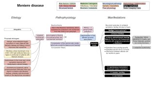 Meniere disease mechanism of disease [upl. by Jarrell]