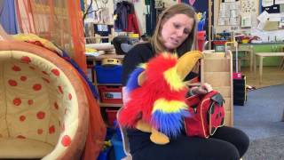 Fun Phonics whats in the bag song teaching blending with Peaky the parrot [upl. by Cir]