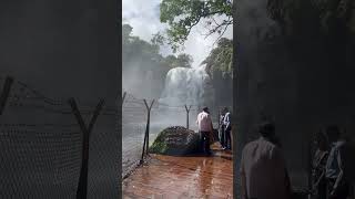 Thoseghar waterfall Satara [upl. by Olav]