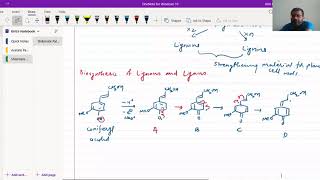 Biosynthesis of Lignins And Lignans [upl. by Verene]