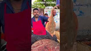 KASIMEDU SPEED SELVAM MASS CUTTING speedselvamcutting [upl. by Ysle852]