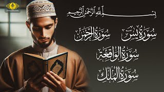 Surah Yasin Yaseen  Surah Rahman  Surah Waqiah  Surah Mulk  4 Surah Recitation  SQW [upl. by Jake]