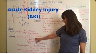 Acute Kidney Injury AKI [upl. by Ainiger]