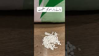 Amunium sulfate granular fertilizer for crops  Recharge plus Alnoor agro  NS Kisanghar price [upl. by Somar483]