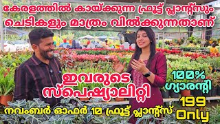 കേരളത്തിൽകായ്ക്കുന്ന ഫ്രൂട്ട്പ്ലാൻസും ചെടികളുംമാത്രം വിൽക്കുന്നതാണ് ഇവരുടെസ്പെഷ്യാലിറ്റിGreenValley [upl. by Akenet]