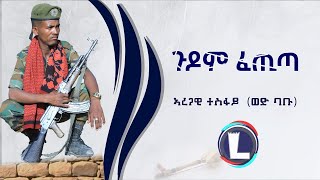 Aregawi Tesfay Gudom Fetita ኣረጋዊ ተስፋይ ጉዶም ፈጢጣ  New Tigrigna Music 2022 Official Video [upl. by Hickie]