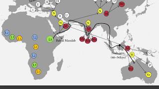 The Role of Beringia in the Global Dispersal of Modern Humans [upl. by Diehl]