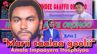 HUNDEE GAAFFII OROMOO quotMARII CAALAA GOOLIIquot [upl. by Leahcin]