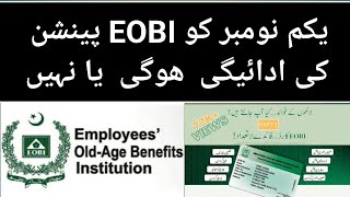 EOBI pension payment 1st Nov 2024 EOBI latest news EOBI Pension EOBI pension news today [upl. by Yelsnya]