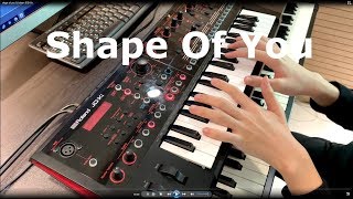 Ed Sheeran  Shape Of You l JDXi x FP90 By Yohan Kim [upl. by Driskill]