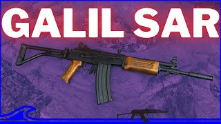 The LEGENDARY Galil SAR BATTLE Rifle [upl. by Resor130]