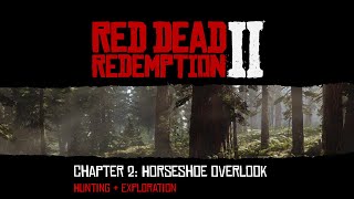 Red Dead Redemption 2  Chapter 2 Horseshoe Overlook  Hunting amp Exploration [upl. by Haorbed160]