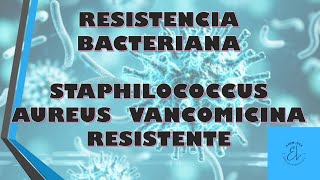 RESISTENCIA BACTERIANA STAPHYLOCOCCUS AUREUS VANCOMICINA RESISTENTE [upl. by Milzie480]