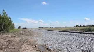 Trenes Argentinos SOFSE tren 308 [upl. by Ric323]