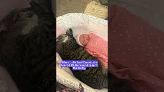 Watch spiteful cat become loving babysitter to her owners newborn  Humankind shorts goodnews [upl. by Karb]