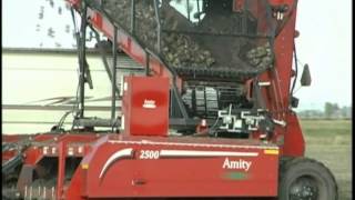 Amity 6 and 8 Row Sugar Beet Harvesters [upl. by Prussian364]