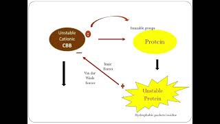 Bradford Assay States and Principle UrduHindi [upl. by Htedirem]