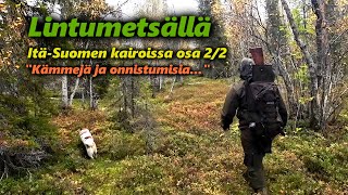 Metsäkanalinnustusta ItäSuomen kairoissa osa 22 [upl. by Egroej]