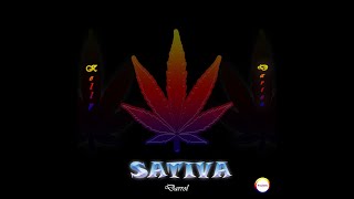 Darrol  Sativa ft Kelly amp Darico Visualizer [upl. by Yokum476]