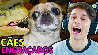 MORRI DE RIR  OS CACHORROS MAIS ENGRAÇADOS DA INTERNET [upl. by Rior619]