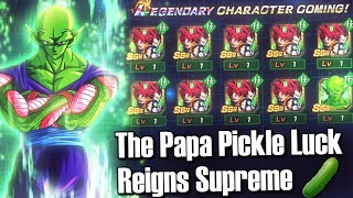 Witness The Greatest Multi Of All Time Dokkan Battle 7th Anniversary Summons [upl. by Yelsehc]